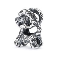 Charm Trollbeads in Argento TAGBE-20164 - TAGBE-20164